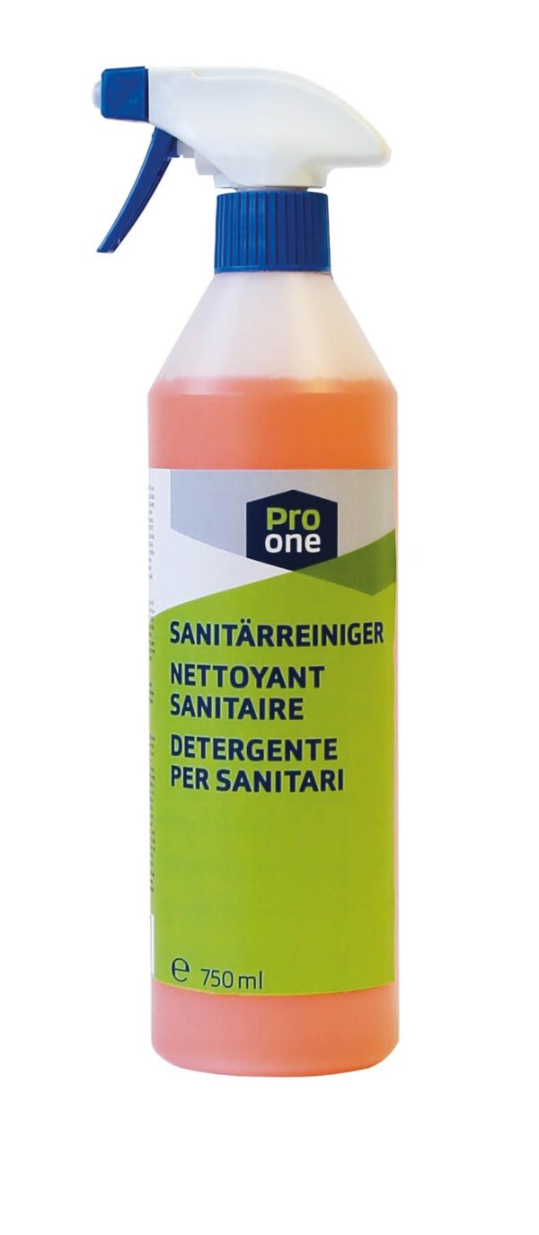 Sanitärreinger