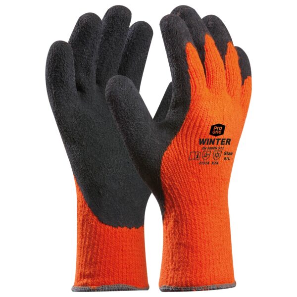 Gants Winter
